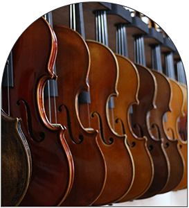 String Music Instruments