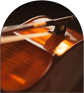 Side view of a Viola Music Instrument