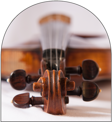 Music Instrument Violin