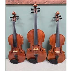 Carrie Scoggins Violin Del Gesu Model