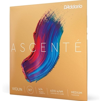 Ascente Violin Set