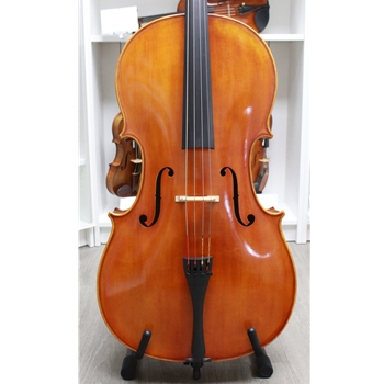 Amber Strings Marco Bosio Cello